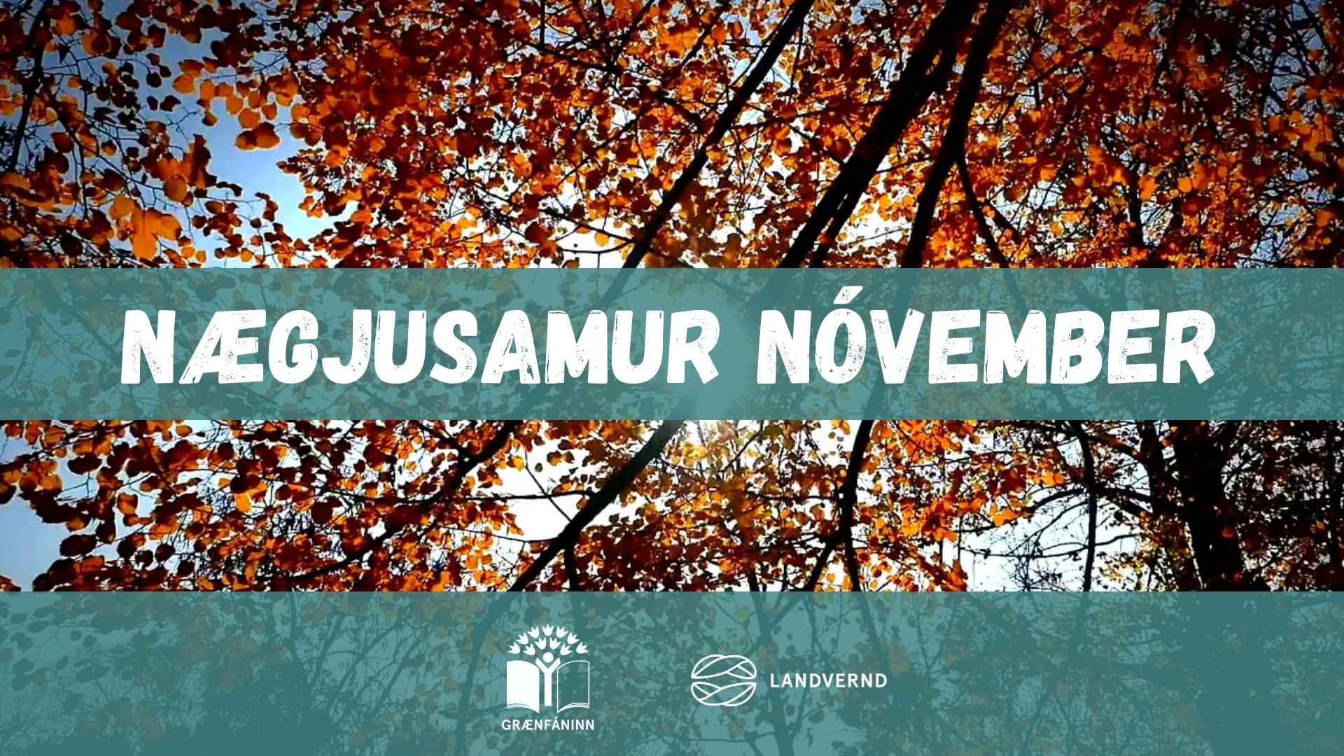 Nægjusamur nóvember