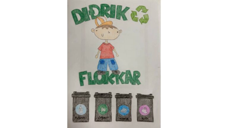 Bókin - Diðrik flokkar