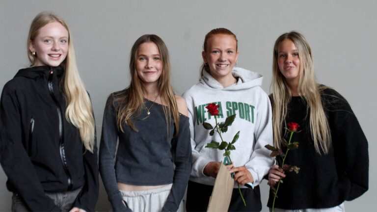 1. sæti grunnskólar