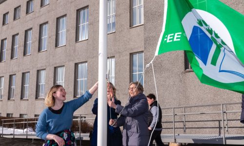 Grænfáninn afhentur